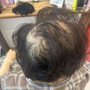 디자인2번가 | [인천 검단 가발 전문점, #쏘헤어 고객님들이 멀리서도 찾아오는 이유]