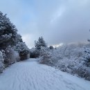 2월25일 남원 바래봉 상고대,눈꽃산행 이미지