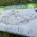 충남 청양 당일치기 여행 가볼만한 곳 [청양 고운식물원]