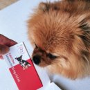 도토약국 이미지