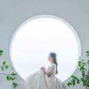 블랑드엘라 이미지