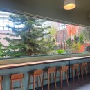 정원하우스 | 안산 가볼만한곳 유니스의정원 보타닉하우스 실내 식물원 카페 내돈내산 추천 후기