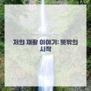 하나로영상의학과의원 네이버블로그