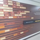 이은성행정사 이미지