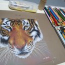 [주말] 색연필화 이미지