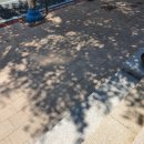 닥터스팜한약국 이미지