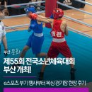 화합 | 제55회 전국소년체육대회 부산 개최! e스포츠 부기 행사부터 복싱 경기장 현장 후기