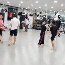 네오블랙벨트 이미지