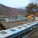 명심농장 이미지