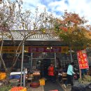 송광사식당 | 순천 단풍 명소 송광사의 오늘, 주차, 유모차 / 송광사 산채정식 ‘관광식당’ 솔직 후기