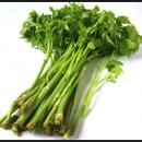 미나리슈퍼 이미지