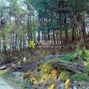 파주시청소년수련장 이미지