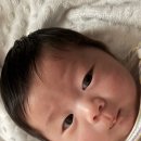 한국생명과학 안성제2공장 | 생후 80일, 리숨센텔라시카아기샴푸 신생아샴푸로 머리 씻기기