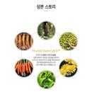 로덱스앤리버스 이미지