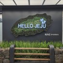 크로스핏 언리밋 | [제주도_웨스트 코스트 트레이닝]여행와서 스쿼트 달려보기