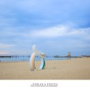 삼척해수욕장 티스토리