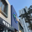 장어의 꿈 티스토리