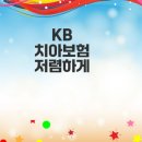 다모아PC방 | KB 치아보험 저렴하게 가입하는 방법은?