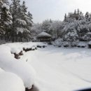 하루의 행복 이미지