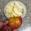 다올농산 - 용인시 처인구 석성로 879-10 | 감홍 사과 공품(사비, 갈라짐) 구매후기 (농라카페 내돈내산)
