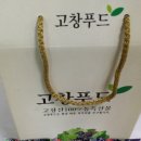 오디 이미지