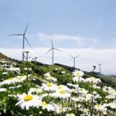 육백마지기 이미지