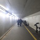 인어수산 | 인어교주해적단 앱 주문 후기 노량진수산시장 땅끝마을 12월 제철 모둠회 추천