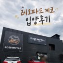 행가리슈퍼 | 원주 파충류샵 보스게코_레오파드게코 입양_내돈내산 방문 후기
