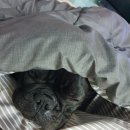 슈퍼맘케어 이미지