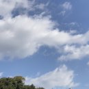 첼로셀프세차장 이미지