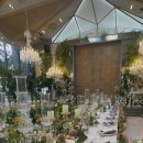 디즈니 로망 실현 강남 토브헤세드 웨딩홀 투어 및 상담 후기 (주차, 식사, 분위기, 견적)