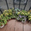 소소한 행복 초록일기 이미지