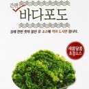 바다반찬 네이버블로그