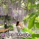 동화호수민박 이미지
