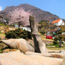 사곡리남근석 | ‘좆도 모른다’의 어원을 찾아서