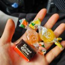 C&B세탁 | [3주 세미패키지 유럽여행] 이탈리아 오르비에토 + 베네치아 2박 3일 (3/21-3/22)