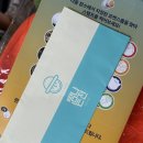 라온농장 | 박물관, 귤따기 체험농장 귤향기, 한라수목원 찍먹, 베스트웨스턴제주 숙박후기, 제주 스타벅스 한정...