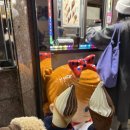 아미NS | 삿포로 2탄) 훗카이도 비에이복장, 노스페이스패딩부츠 신발방한용품 필수템 체크리스트 이심esim