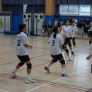 2025년 강원 학교스포츠클럽축제 피구대회 이미지