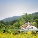 스튜디오글 이미지
