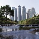 강남부동산중개사무소 이미지