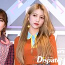 세진포토 이미지