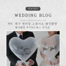 더컨셉헤어 | [W8] 대구 세미앙 스튜디오 웨딩촬영, 드레스 추가금, 컨셉, 헤어 솔직후기