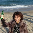 여주(강릉) 이미지