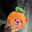 고대1120 이미지