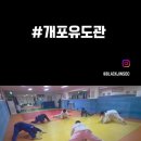 개포유도관
