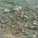 (주)바이오넷 이미지