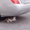 보민당약국 이미지