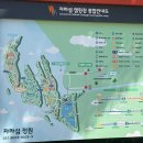 호박꽃팬션 | 자라섬 꽃 페스타 후기｜가평 꽃축제 다녀온 솔직 방문기 (2026)