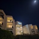 머큐어 앰배서더 제주 | [제주 호텔 추천] 머큐어앰배서더 제주 이그제튜티브 스위트룸 숙박 후기